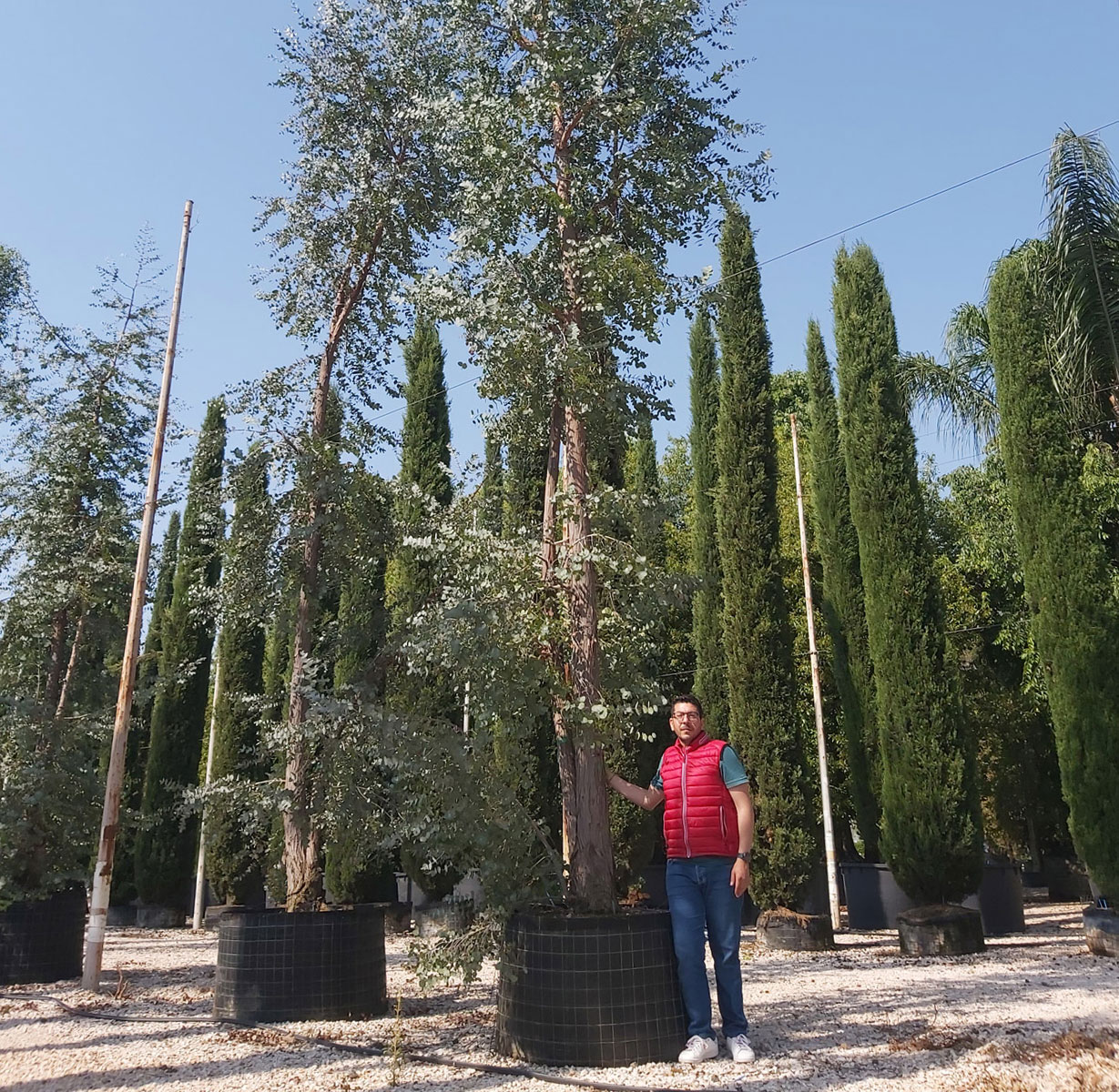 Ivan Liborio - Loading plants